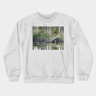 Whitetail deer, wild animal, wildlife gifts Crewneck Sweatshirt